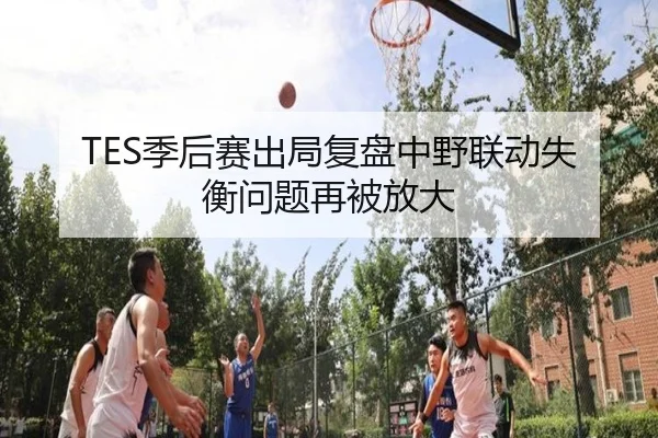 TES季后赛出局复盘中野联动失衡问题再被放大